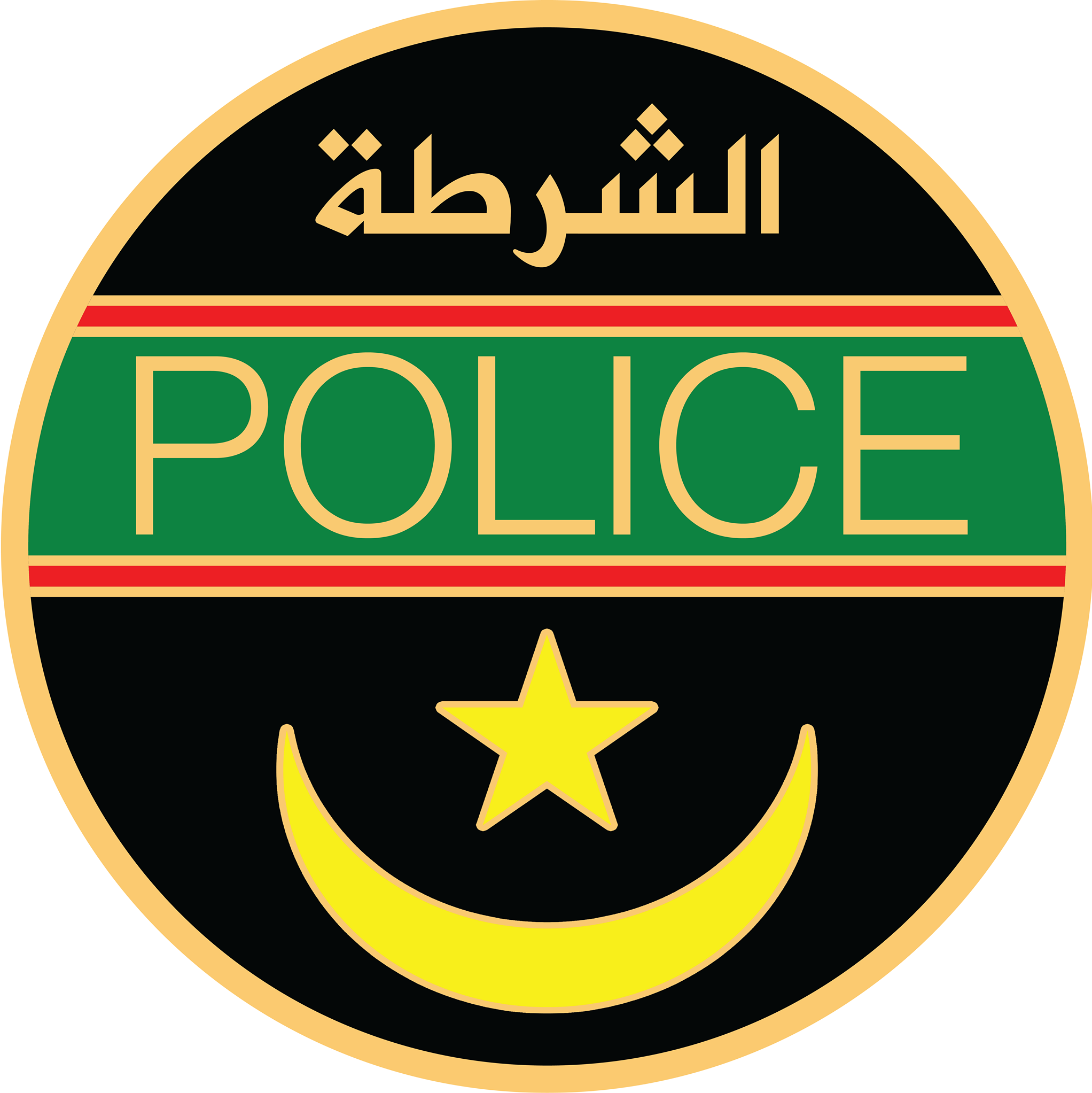 الشرطة بتوجنين توقف سيدة إثر ضربها لزوجها وإصابته بجروح