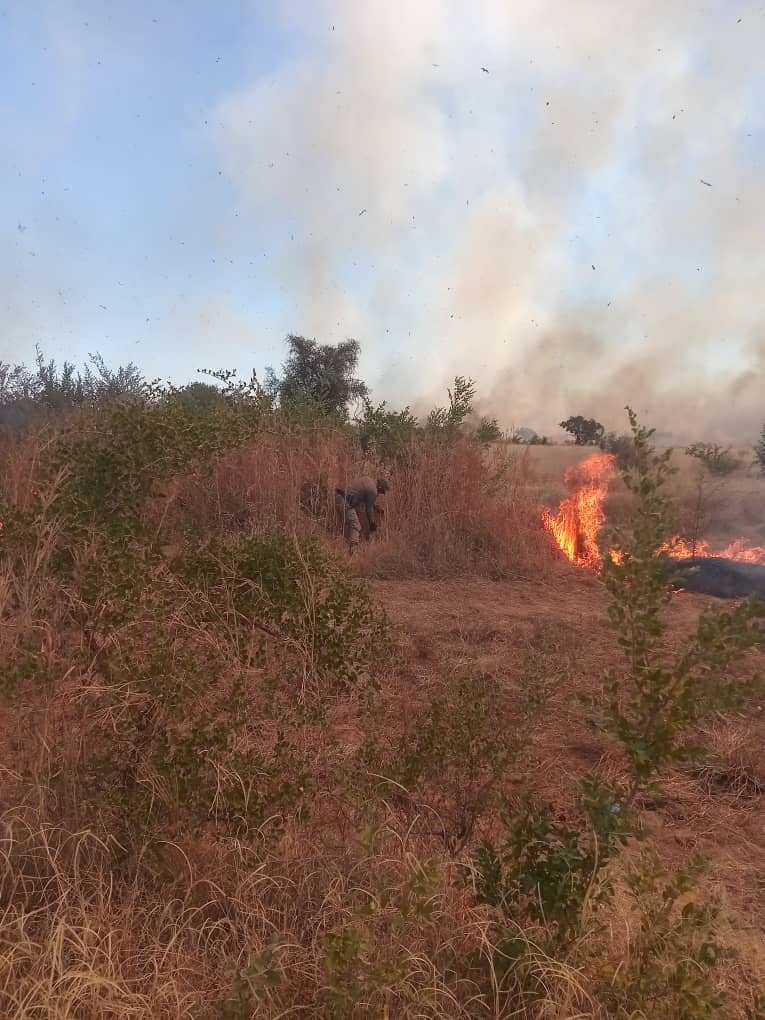 صورة من الإرشيف