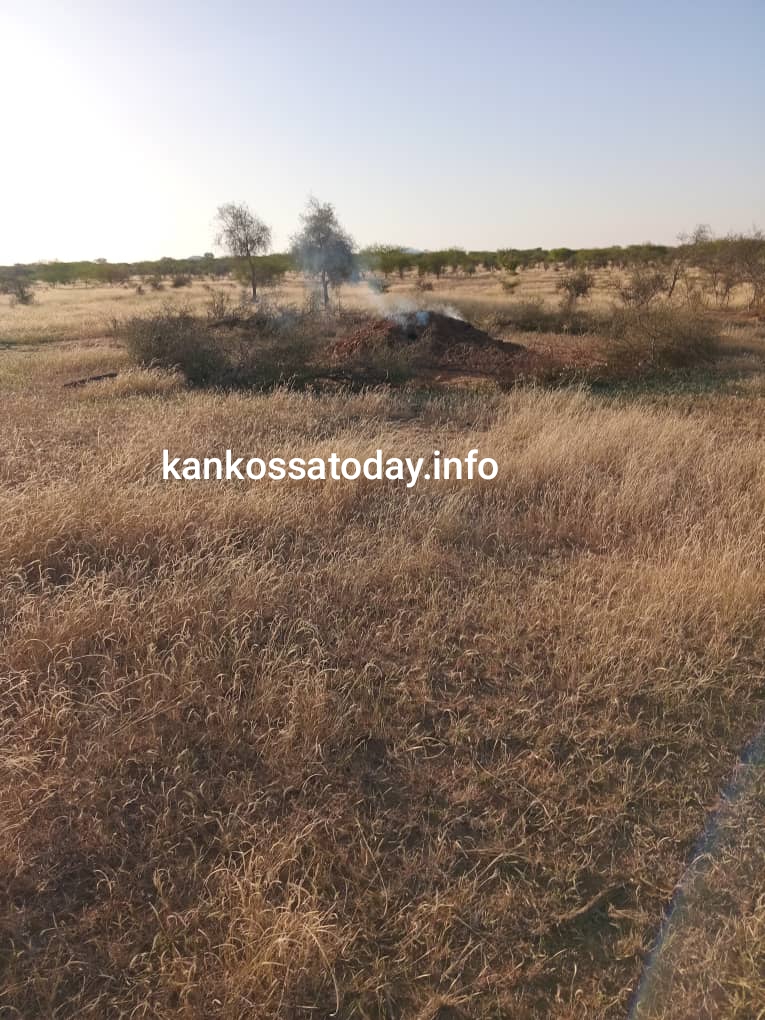 صورة من أحدى الورش صباح اليوم - خاص 