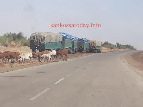 الصورة توثق  المشهد مساء أمس 16\11\2019