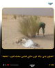 صورة من الانترنت